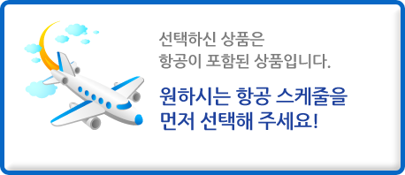 원하시는 항공 스케줄을 선택하세요